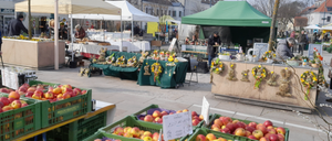 Bild enthält, Market, Person, Farmer's Market, Apple, Food, Fruit, Plant, Produce