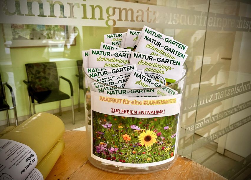 Bild enthält, Herbal, Herbs, Flower, Advertisement, Daisy, Poster, Chair, Jar, Shop