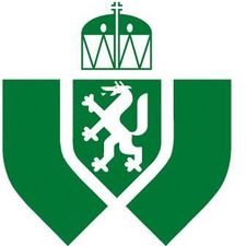 Grawe Team Friedheim-Logo