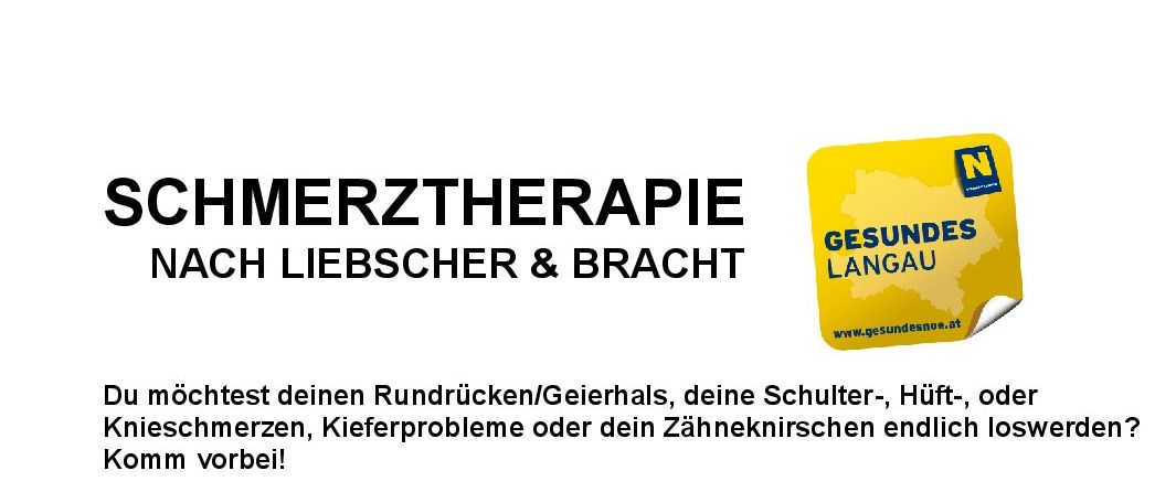 Ein Flyer für einen Liebscher & Bracht Workshop in Langau, Österreich, am 3. August 2026. Es werden 5 Einheiten à 90 Minuten angeboten, für Menschen mit Rücken-, Nacken- oder Gelenkschmerzen.