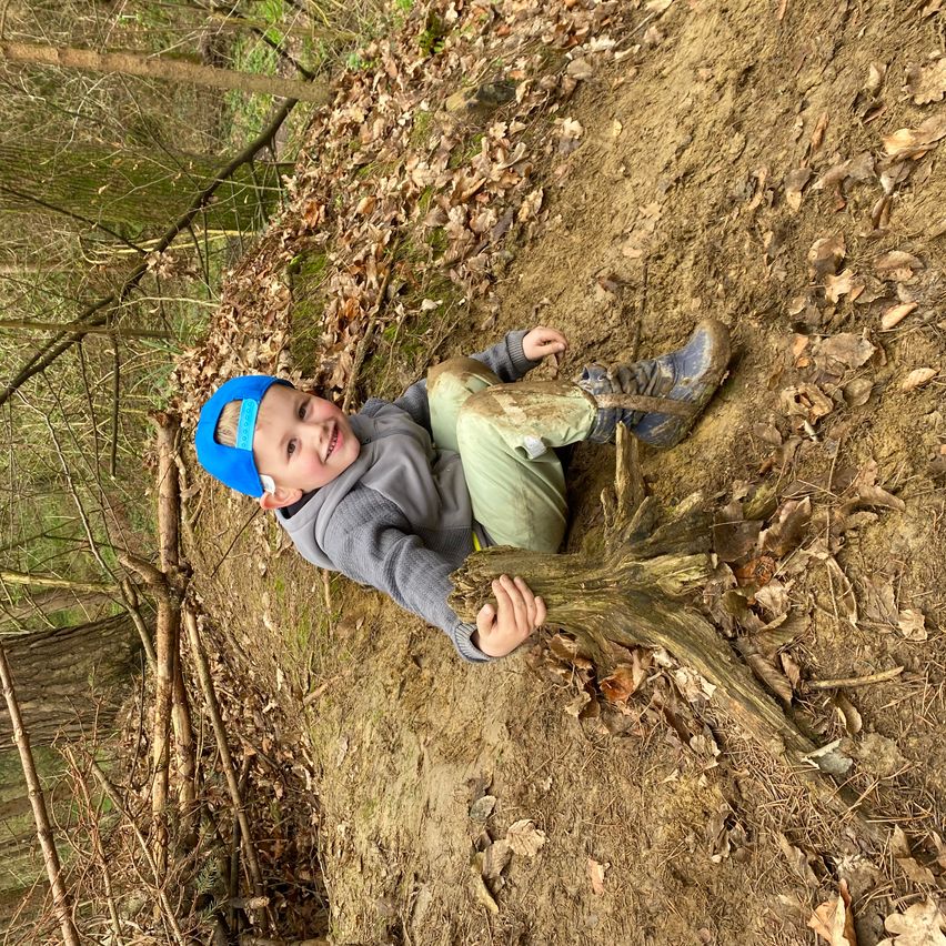 Bild enthält, Soil, Vegetation, Photography, Portrait, Hardhat, Tree, Woodland, Grove, Hat, Wilderness