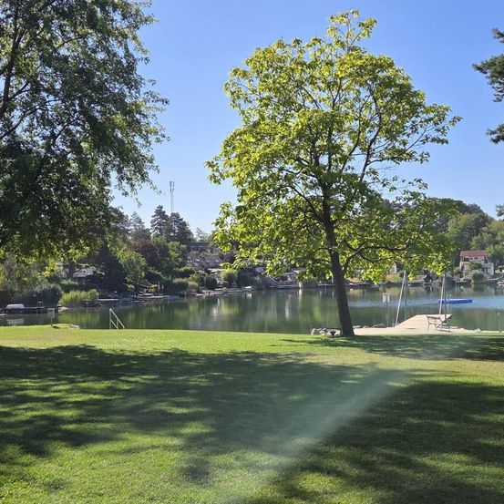 Eine ruhige Seelandschaft mit einem großen Baum, einem Steg und einem klaren blauen Himmel. Der See ist ruhig und spiegelt die üppige Grünfläche und die entfernten Häuser wider.