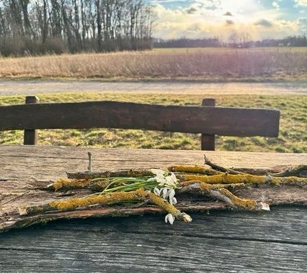 Eine Collage aus drei Bildern: ein Haufen getrockneter Blätter, eine Bank auf einem Grasfeld und ein gelber Zaun. Die Bank hat weiße Blumen darauf.