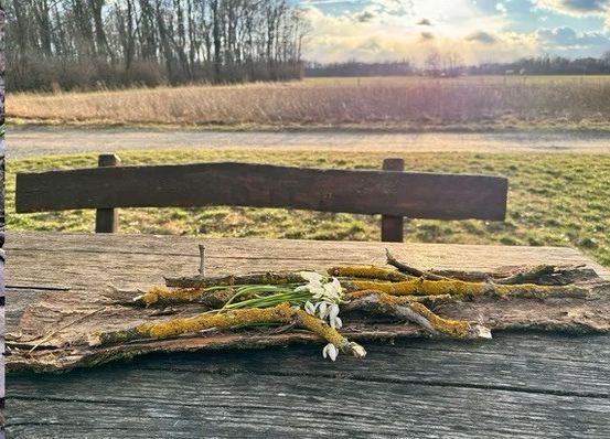 Eine Collage aus drei Bildern: ein Haufen getrockneter Blätter, eine Bank auf einem Grasfeld und ein gelber Zaun. Die Bank hat weiße Blumen darauf.