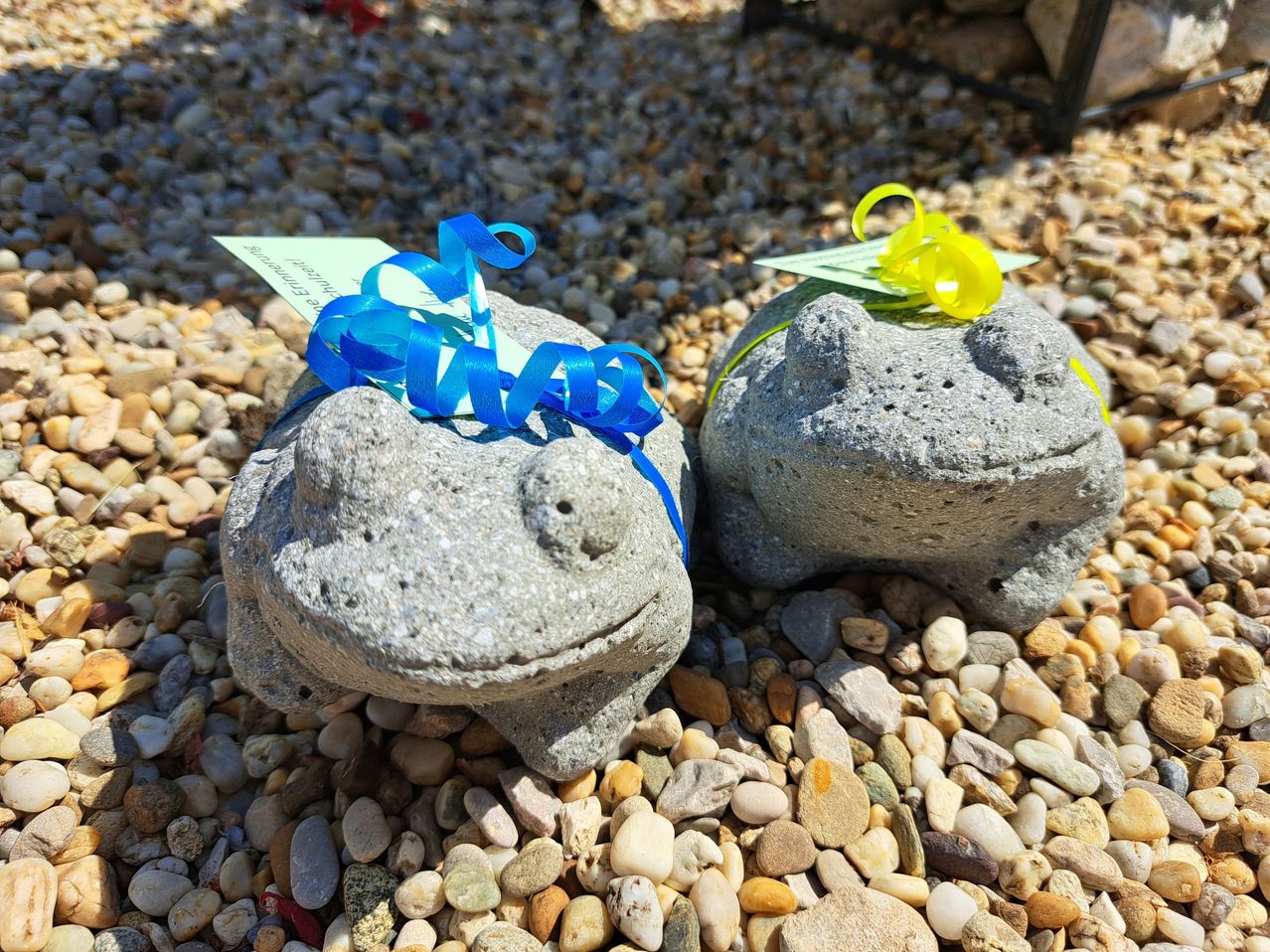 Zwei Steinfrösche mit blauen und gelben Bändern sitzen auf Kieselsteinen. Jeder Frosch hat einen Anhänger. Die Umgebung ist draußen.