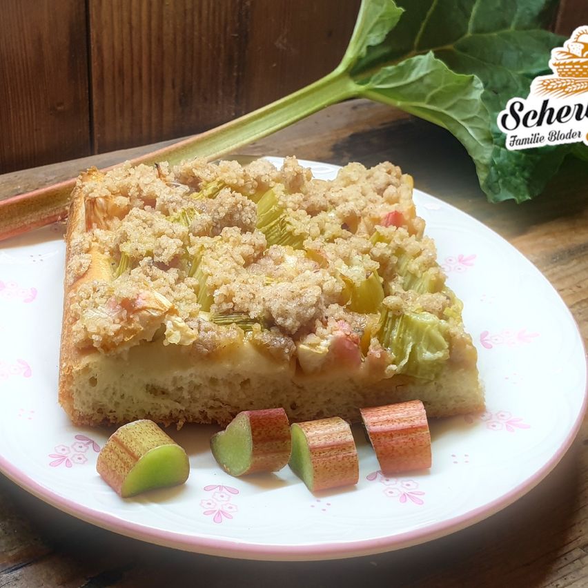 Ein Stück Rhabarberkuchen mit Streuseln liegt auf einem weißen Teller mit Blumenmuster. Ein Rhabarberblatt ist teilweise hinter dem Teller sichtbar.