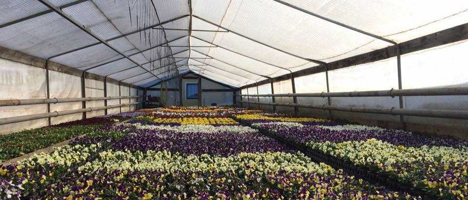 299195387_467067445426480_1778056776330470732_n