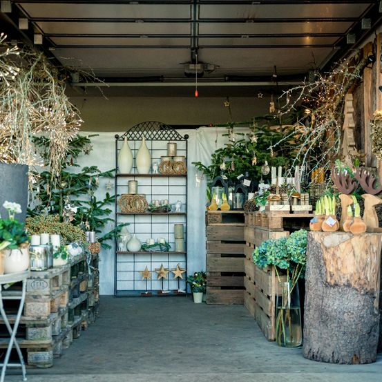 Bild enthält, Plant, Potted Plant, Jar, Planter, Pottery, Vase, Interior Design, Building, Garden, Housing