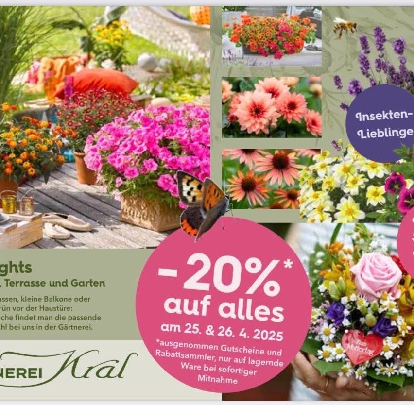 Gartenrabatt mit 20% Rabatt auf alle Produkte am 25. und 26. April 2025, ausgenommen Gutscheine und Rabatte. Eine Vielzahl von Blumen und Pflanzen ist in Töpfen auf einer Holzterrasse ausgestellt.