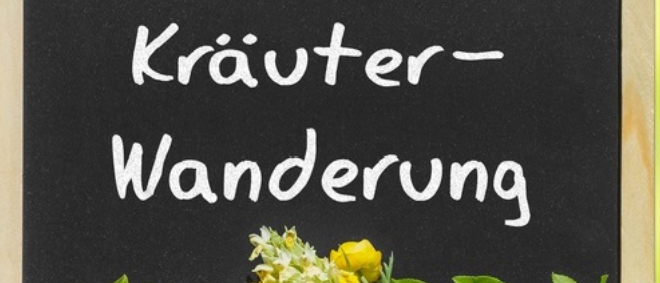Blackboard, Flower, Plant, Petal