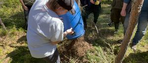 Bild enthält, Soil, Vegetation, Person, Planting, Tree, Woodland, Adult, Male, Man, Grass