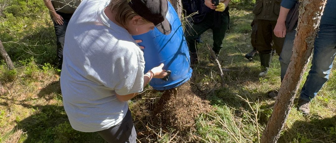 Bild enthält, Soil, Vegetation, Person, Planting, Tree, Woodland, Adult, Male, Man, Grass