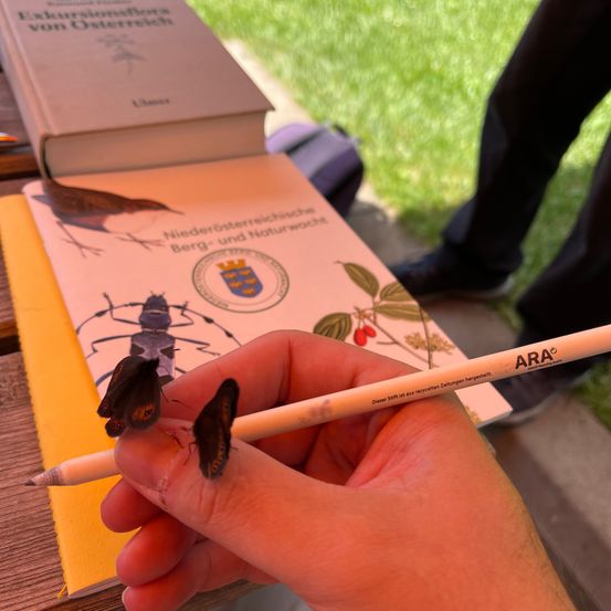 Bild enthält, Finger, Hand, Person, Shoe, Insect, Adult, Male, Man