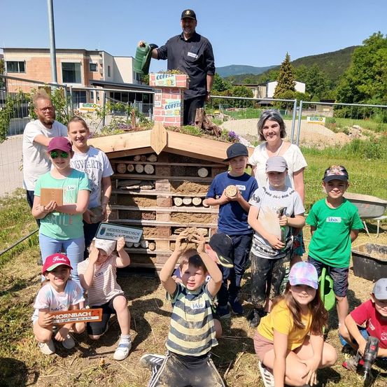 Bild enthält, Summer, Person, Portrait, People, Shorts, Grass, Outdoors, Nature, Wood, Man