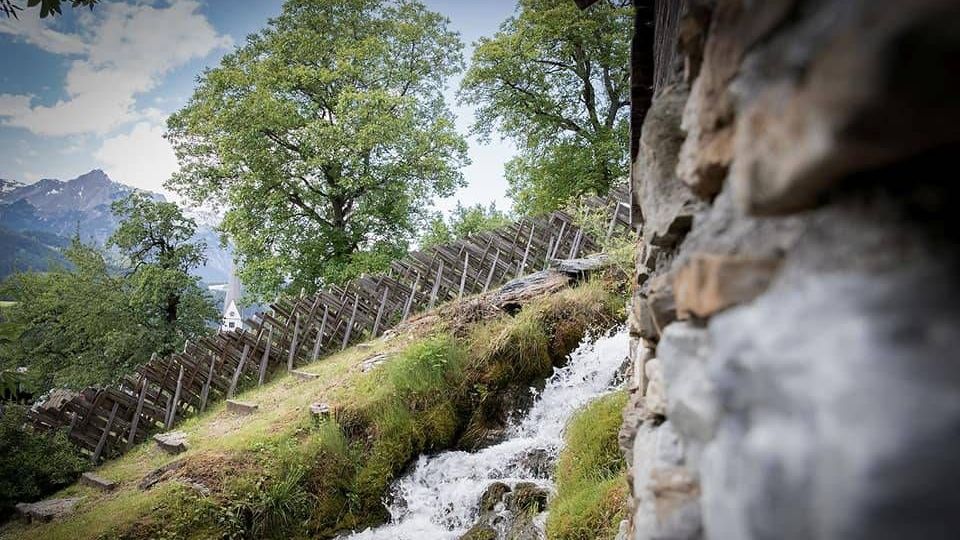 v1_migrated_image_22969372