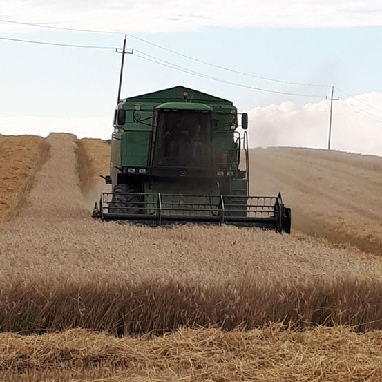Bild enthält, Countryside, Farm, Harvest, Nature, Outdoors, Rural, Machine, Wheel, Straw, Produce