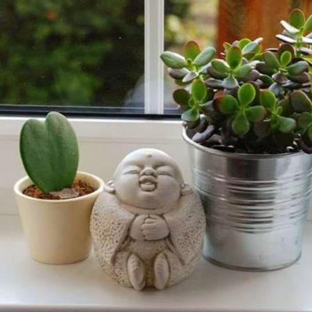 Bild enthält, Plant, Potted Plant, Baby, Person, Face, Head, Window, Windowsill