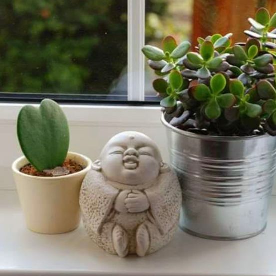 Bild enthält, Plant, Potted Plant, Baby, Person, Face, Head, Window, Windowsill