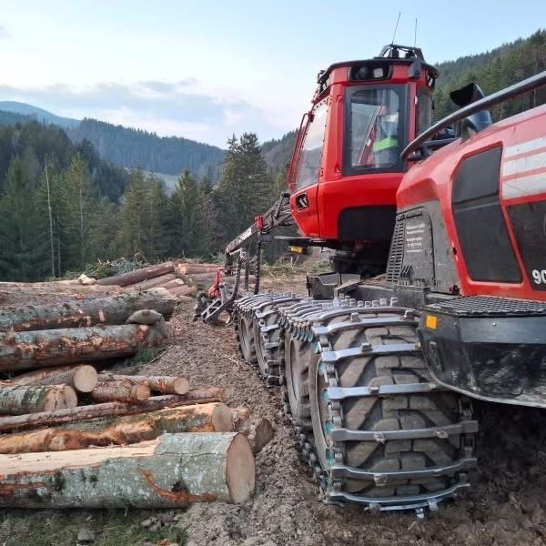 Eine rote Waldmaschine steht auf einem Feldweg mit gefällten Baumstämmen. Die Maschine hat eine große, offene Front und einen großen Reifen hinten.