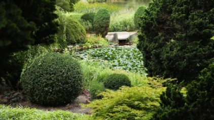 v1_migrated_image_3307629