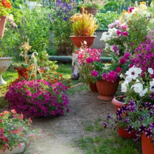 v1_migrated_image_43406487