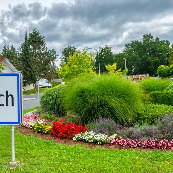 Ein Garten mit verschiedenen bunten Blumen ist von grünem Gras und Büschen umgeben. Ein weißes Schild mit dem Wort 'ch' steht auf dem Rasen. Im Hintergrund befinden sich Bäume und ein Haus.