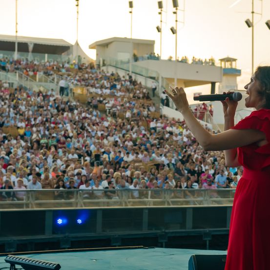 Bild enthält, Crowd, Person, People, Audience, Electrical Device, Microphone, Speech, Concert, Face, Head