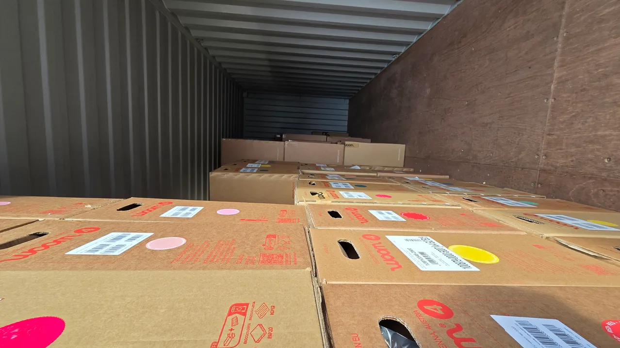 Ein Lagercontainer gefüllt mit zahlreichen Kartons, jeweils mit Etiketten und Barcodes, einige mit roten Logos und Aufklebern. Die Kartons sind in Reihen gestapelt.