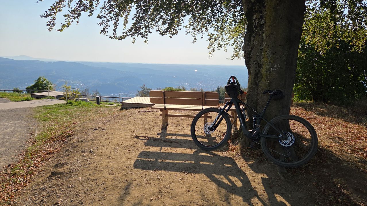 Ein Mountainbike steht neben einem Baum, mit einer Bank in der Nähe, die einen Blick auf ein Tal und einen entfernten Ozean bietet.