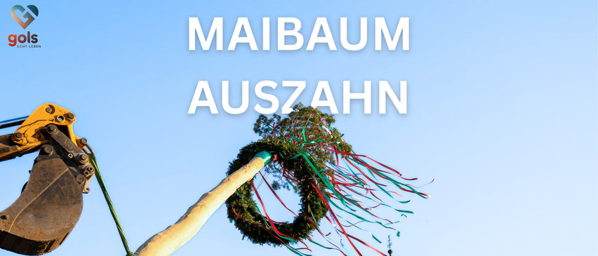 Ein Werbeplakat für das Maibaum Auszahn-Event. Es zeigt einen Baumkranz und einen Stock mit fliegenden Bändern. Das Datum ist der 31. Mai 2026 um 18:00 Uhr. Der Ort ist Hauptplatz Gols.