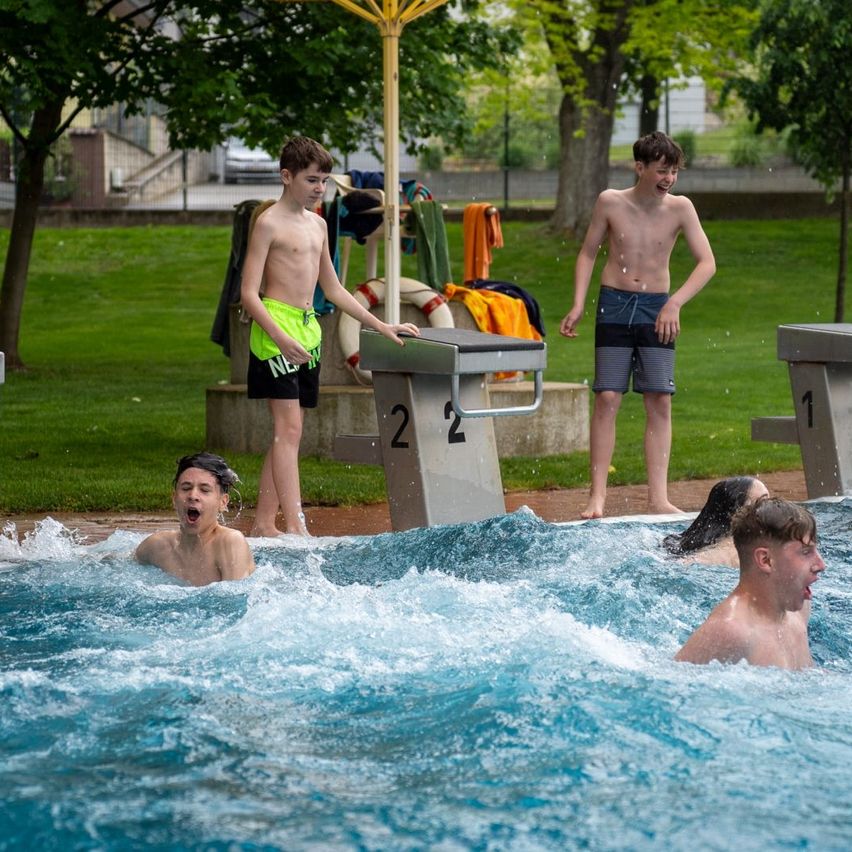 Bild enthält, Summer, Shorts, Person, Swimming, Water, Grass, Pool, Boy, Male, Teen