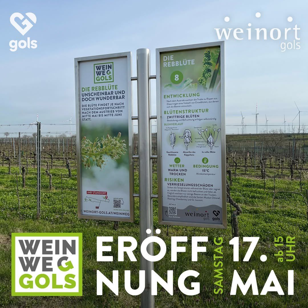 Ein offenes Feld mit zwei Schildern, eines bewirbt eine Weinöffnungsveranstaltung am 17. Mai und das andere liefert Informationen über den Blütezyklus von Weinreben.