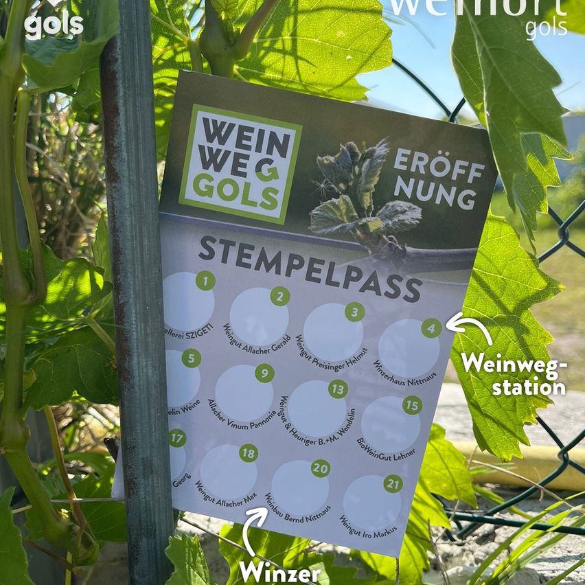 Ein weißes Schild mit 'Wein Weg Gols' und 'Eröffnet jetzt' hängt an einem Zaun. Es zeigt einen Stempelpass mit Kreisen, nummeriert von 1 bis 21, und einen Hinweis auf eine Weinroutenstation.