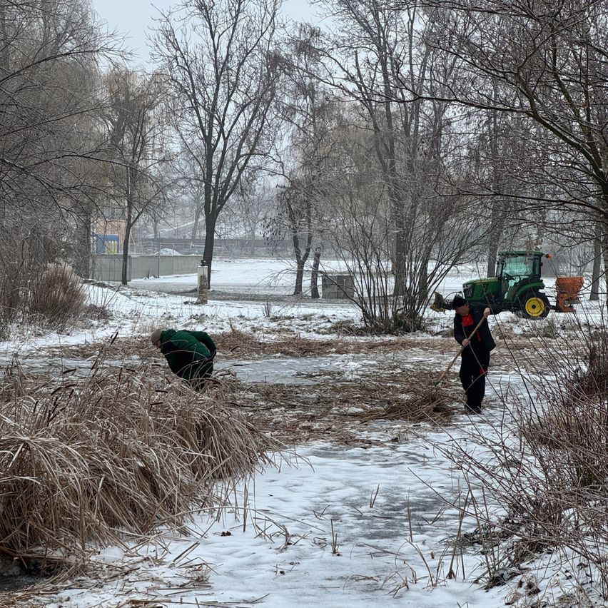 Zwei Personen in Winterkleidung arbeiten in einem verschneiten Bereich mit trockenen Pflanzen, während ein Traktor im Hintergrund geparkt ist.