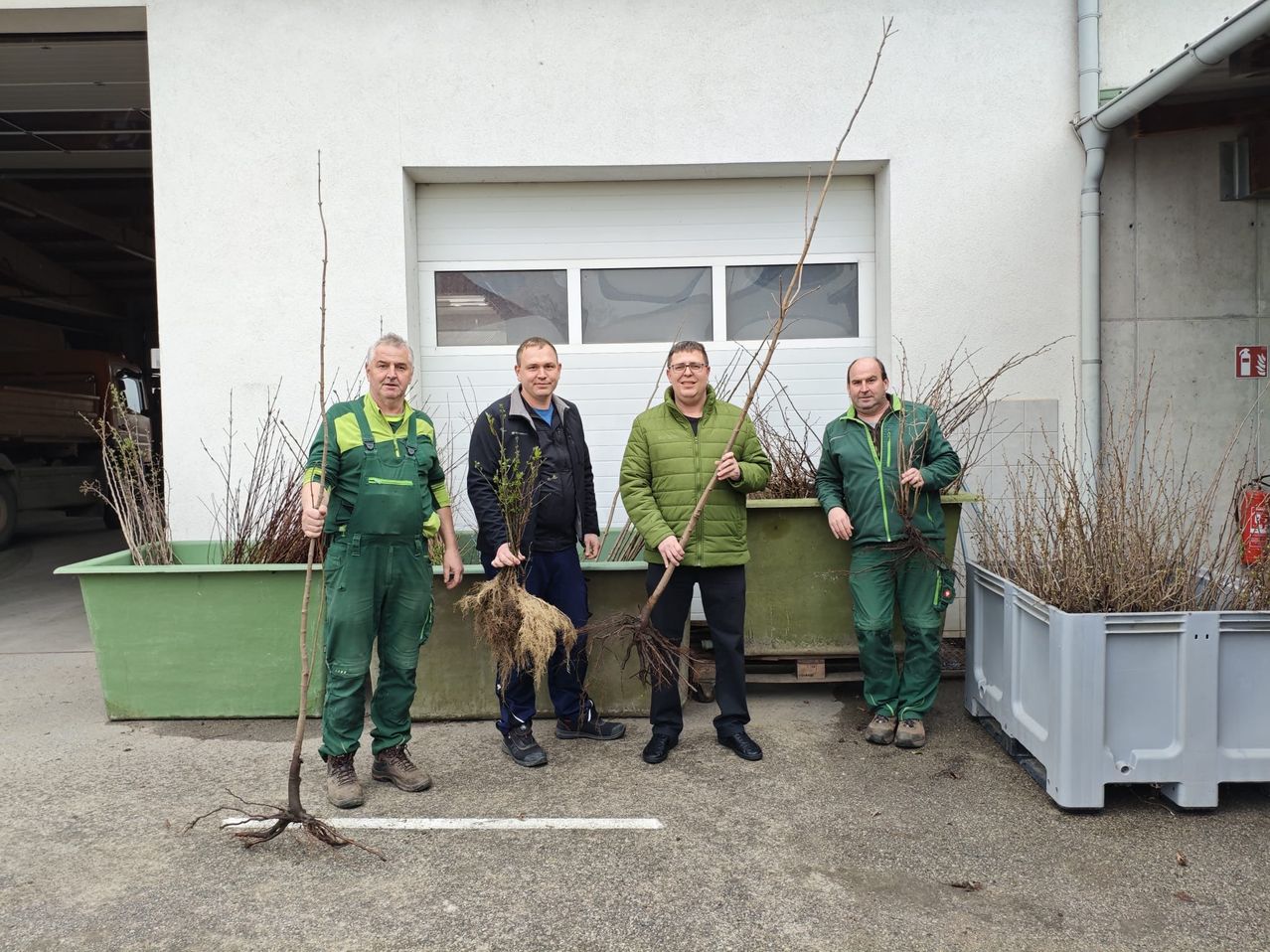 Vier Männer in grüner Arbeitskleidung stehen vor einem Gebäude und halten Pflanzen mit freiliegenden Wurzeln. Hinter ihnen befinden sich zwei große Pflanzgefäße.