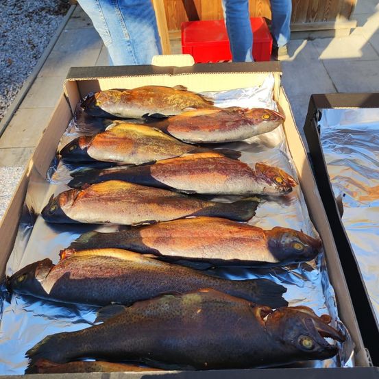 Ein Karton mit mehreren Fischen auf Alufolie steht auf einem Betonboden. Zwei Personen stehen in der Nähe, eine trägt Jeans.