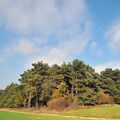 LindgrabenWald4_c_ManfredFiala