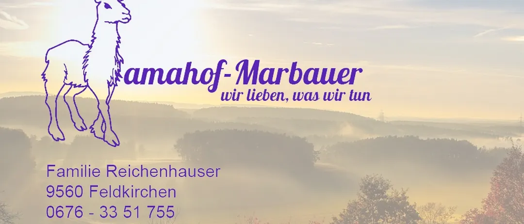 Ein Plakat mit einem Alpaka, einer nebligen Landschaft und dem Text 'amahof-Marbauer wir lieben, was wir tun'. Kontaktinformationen für Reichenhauser Feldkirchen sind ebenfalls enthalten.