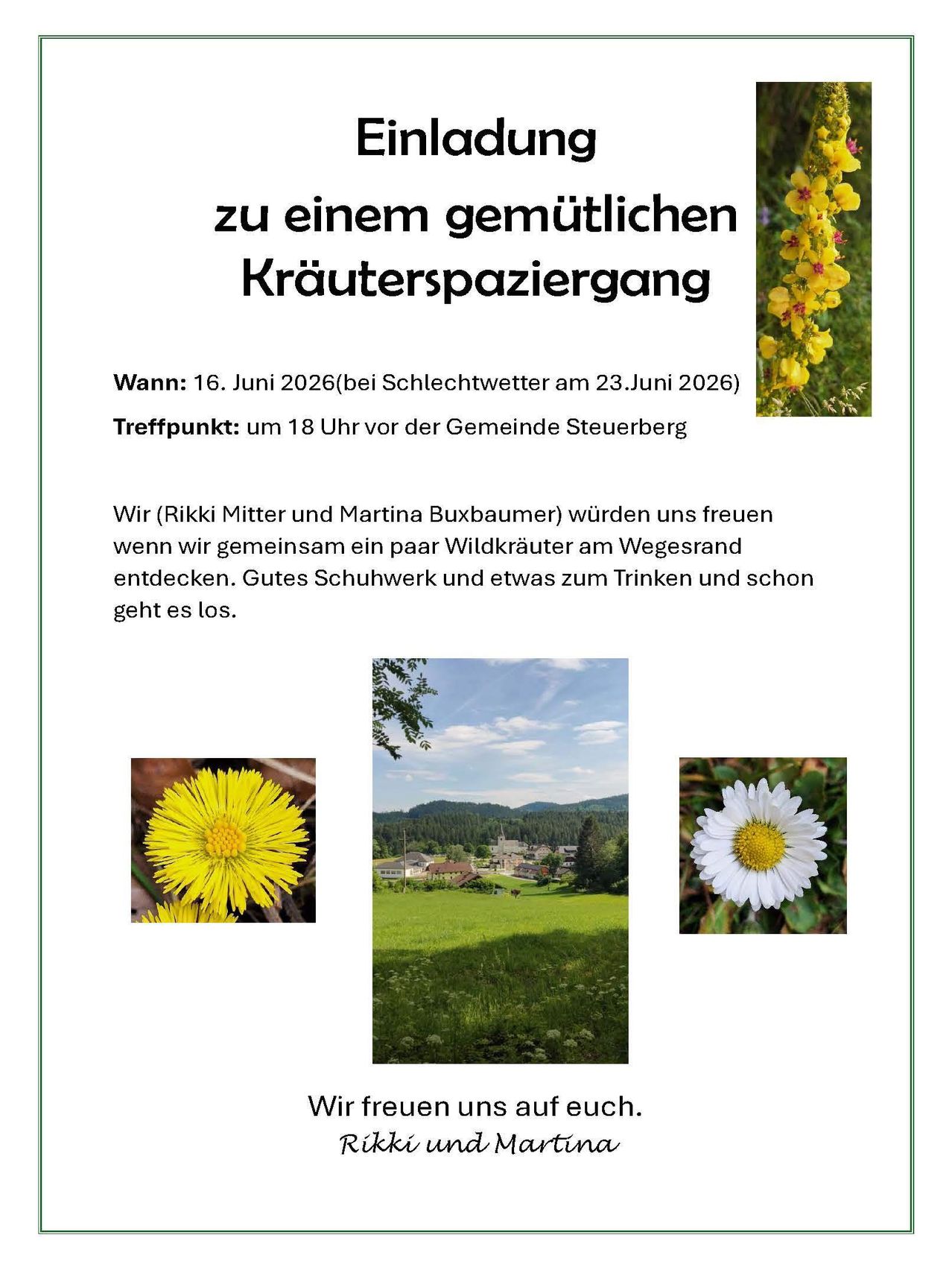 Einladung zu einem angenehmen Kräuterspaziergang. 16. Juni 2026, um 18 Uhr. Treffpunkt: vor der Gemeinde Steuber. Ein Spaziergang zur Entdeckung wilder Kräuter, gute Schuhe und ein Getränk.