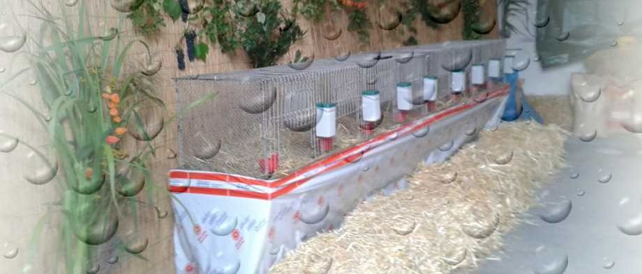 Bild enthält, Potted Plant, Jar, Planter, Pottery, Vase, Nature, Outdoors, Wall