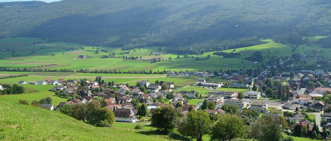 Ein Dorf umgeben von üppigen grünen Feldern und Hügeln. Bäume und Häuser sind über das Gebiet verstreut. In der Ferne sticht ein großes Gebäude hervor.