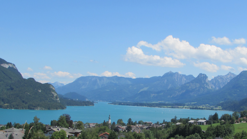 v1_migrated_image_87855712