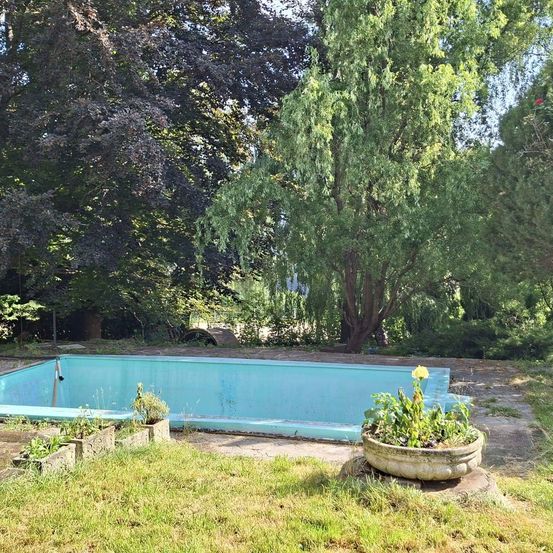 Ein leerer rechteckiger Pool, umgeben von einem Rasenbereich mit mehreren Topfpflanzen und Bäumen im Hintergrund.