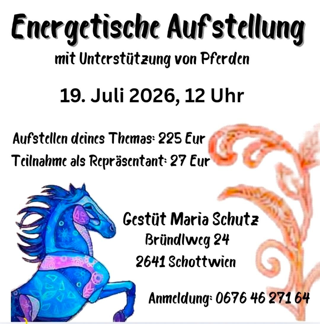 Event poster for an energetic setup with horses, July 19, 2026, 12 PM. Costs: 225 EUR for your theme, 27 EUR as a representative. Hosted by Maria Schutz, address Brundweg 24, 2641 Schottwien. Contact: 0676 46 271 64.