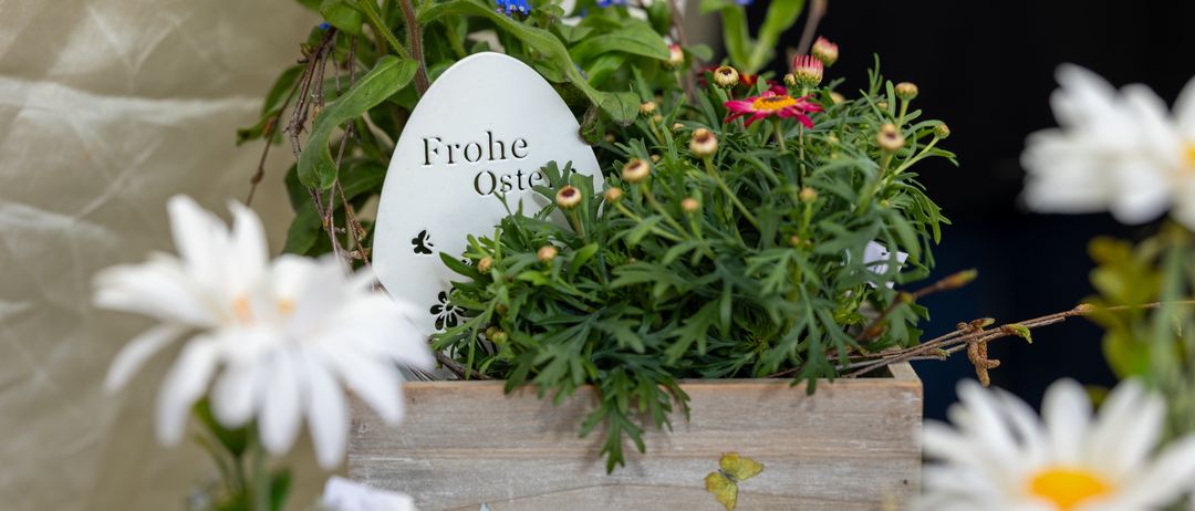 Ein Holzkasten enthält ein weißes Osterei und eine Vielzahl von Blumen, darunter blaue, weiße und rosa Blüten. Auf dem Ei steht 'Frohes Ostern' geschrieben.
