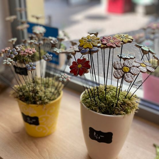 Bild enthält, Window, Windowsill, Plant, Furniture, Table, Tabletop