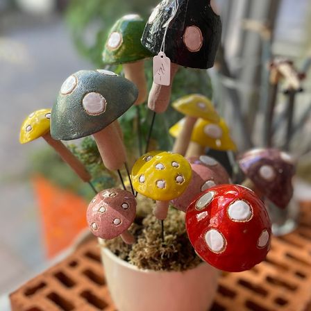 Bild enthält, Agaric, Fungus, Mushroom, Plant, Amanita, Animal, Bird