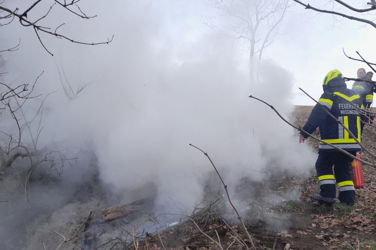 Bild enthält, Adult, Male, Man, Person, Fire, Extinguishing Fire