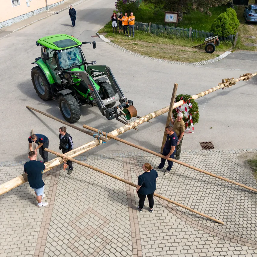 Eine Gruppe von Menschen bewegt mit einem Traktor große Baumstämme auf einer gepflasterten Straße. Der Traktor ist grün. Es stehen mehrere Personen um die Baumstämme herum.
