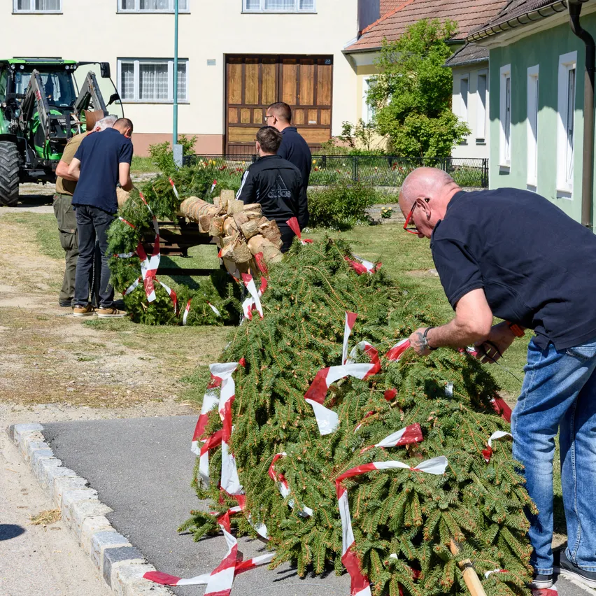 Mehrere Männer bereiten Weihnachtsbäume mit Bändern vor, ein Traktor und Häuser im Hintergrund.